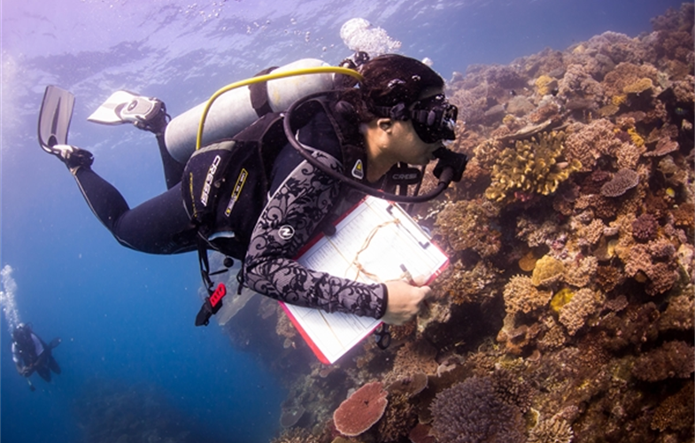 A coral researcher near Fiji. CREDIT: Emily Darling/WCS. 
